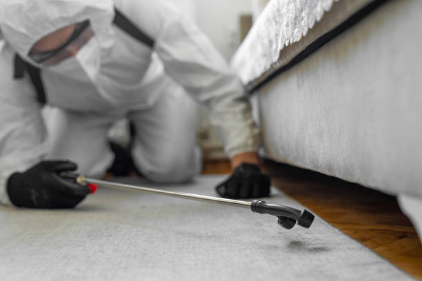 Professional Bed Bug Control technician working in Santa Fe Springs, CA