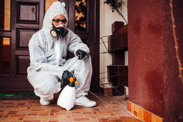 Reliable Bed Bug Control contractor in Santa Fe Springs, CA by Nex Pest Control